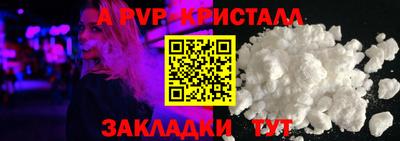 индика Гай