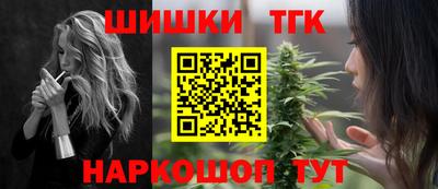 индика Гай