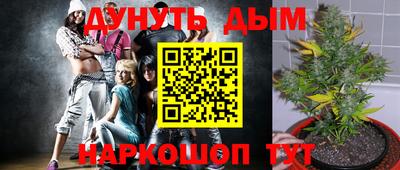 а пвп мука Гатчина