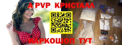 индика Гай