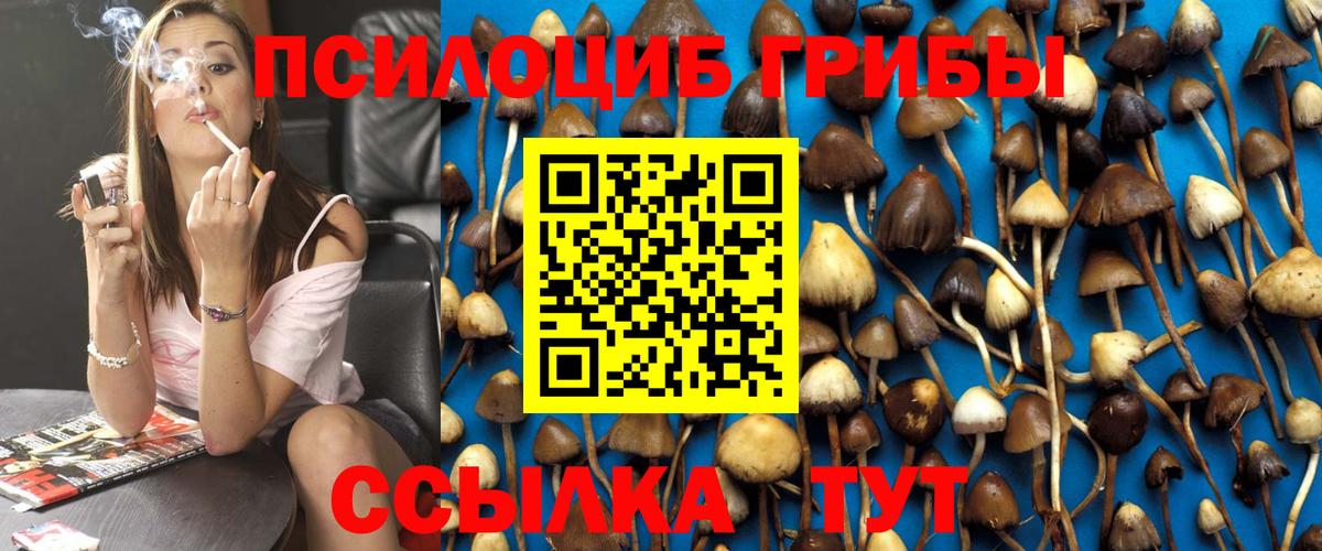 Галлюциногенные грибы Psilocybine cubensis Муром