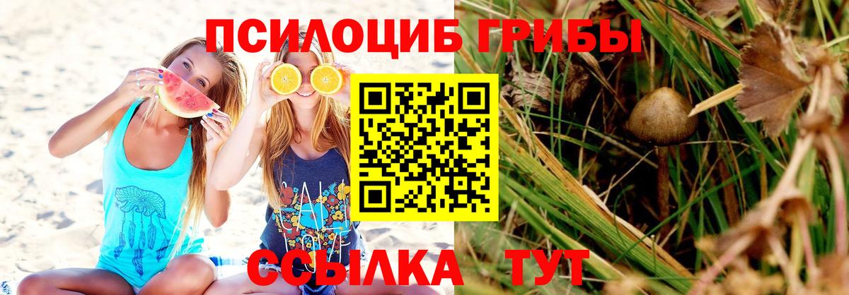 Псилоцибиновые грибы прущие грибы  Вход с VPN  Муром 